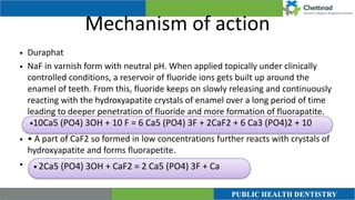 Mechanism of action
• Duraphat


• NaF in varnish form with neutral pH. When applied topically under clinically
controlled conditions, a reservoir of fluoride ions gets built up around the
enamel of teeth. From this, fluoride keeps on slowly releasing and continuously
reacting with the hydroxyapatite crystals of enamel over a long period of time
leading to deeper penetration of fluoride and more formation of fluorapatite.


• • A part of CaF2 so formed in low concentrations further reacts with crystals of
hydroxyapatite and forms fluorapetite.


•
•10Ca5 (PO4) 3OH + 10 F = 6 Ca5 (PO4) 3F + 2CaF2 + 6 Ca3 (PO4)2 + 10
• 2Ca5 (PO4) 3OH + CaF2 = 2 Ca5 (PO4) 3F + Ca
 
