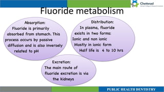 Fluoride metabolism
Distribution
:

In plasma, fluoride
exists in two forms
:

Ionic and non ionic
 

Mostly in ionic form
 

Half life is 4 to 10 hrs
 

Excretion
:

The main route of
fluoride excretion is via
the kidneys
Absorption:
 

Fluoride is primarily
absorbed from stomach. This
process occurs by passive
diffusion and is also inversely
related to p
H

 