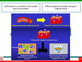Systemic antibiotics in periodontal therapy | PPTX