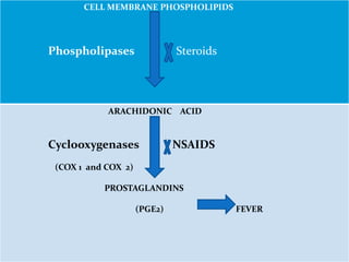Fever
CELL MEMBRANE PHOSPHOLIPIDS
Phospholipases Steroids
ARACHIDONIC ACID
Cyclooxygenases NSAIDS
(COX 1 and COX 2)
PROSTAGLANDINS
(PGE2) FEVER
 