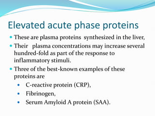 Elevated acute phase proteins
 These are plasma proteins synthesized in the liver,
 Their plasma concentrations may increase several
hundred-fold as part of the response to
inflammatory stimuli.
 Three of the best-known examples of these
proteins are
 C-reactive protein (CRP),
 Fibrinogen,
 Serum Amyloid A protein (SAA).
 