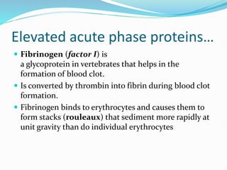 Elevated acute phase proteins…
 Fibrinogen (factor I) is
a glycoprotein in vertebrates that helps in the
formation of blood clot.
 Is converted by thrombin into fibrin during blood clot
formation.
 Fibrinogen binds to erythrocytes and causes them to
form stacks (rouleaux) that sediment more rapidly at
unit gravity than do individual erythrocytes
 