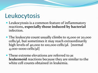 Leukocytosis
 Leukocytosis is a common feature of inflammatory
reactions, especially those induced by bacterial
infection.
 The leukocyte count usually climbs to 15,000 or 20,000
cells/µl, but sometimes it may reach extraordinarily
high levels of 40,000 to 100,000 cells/µl. [normal
4,000-11000 cells/µl]
 These extreme elevations are referred to as
leukemoid reactions because they are similar to the
white cell counts obtained in leukemia.
 