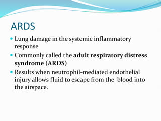 ARDS
 Lung damage in the systemic inflammatory
response
 Commonly called the adult respiratory distress
syndrome (ARDS)
 Results when neutrophil-mediated endothelial
injury allows fluid to escape from the blood into
the airspace.
 