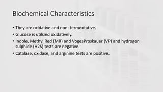 Biochemical Characteristics
• They are oxidative and non- fermentative.
• Glucose is utilized oxidatively.
• Indole, Methyl Red (MR) and VogesProskauer (VP) and hydrogen
sulphide (H2S) tests are negative.
• Catalase, oxidase, and arginine tests are positive.
 