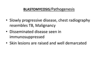 BLASTOMYCOSIS/Pathogenesis
• Slowly progressive disease, chest radiography
resembles TB, Malignancy
• Disseminated disease seen in
immunosuppressed
• Skin lesions are raised and well demarcated
 