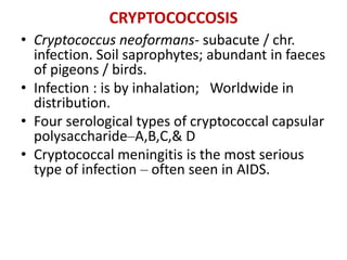 CRYPTOCOCCOSIS
• Cryptococcus neoformans- subacute / chr.
infection. Soil saprophytes; abundant in faeces
of pigeons / birds.
• Infection : is by inhalation; Worldwide in
distribution.
• Four serological types of cryptococcal capsular
polysaccharide–A,B,C,& D
• Cryptococcal meningitis is the most serious
type of infection – often seen in AIDS.
 