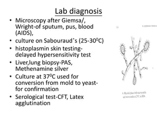 Lab diagnosis
• Microscopy after Giemsa/,
Wright-of sputum, pus, blood
(AIDS),
• culture on Sabouraud’s (25-300C)
• histoplasmin skin testing-
delayed hypersensitivity test
• Liver,lung biopsy-PAS,
Methenamine silver
• Culture at 370C used for
conversion from mold to yeast-
for confirmation
• Serological test-CFT, Latex
agglutination
 