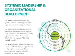 Systemic leadership program