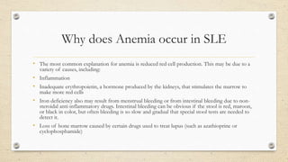Why does Anemia occur in SLE
• The most common explanation for anemia is reduced red cell production. This may be due to a
variety of causes, including:
• Inflammation
• Inadequate erythropoietin, a hormone produced by the kidneys, that stimulates the marrow to
make more red cells
• Iron deficiency also may result from menstrual bleeding or from intestinal bleeding due to non-
steroidal anti-inflammatory drugs. Intestinal bleeding can be obvious if the stool is red, maroon,
or black in color, but often bleeding is so slow and gradual that special stool tests are needed to
detect it.
• Loss of bone marrow caused by certain drugs used to treat lupus (such as azathioprine or
cyclophosphamide)
 