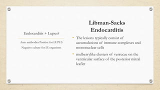 Endocarditis + Lupus?
Libman-Sacks
Endocarditis
• The lesions typically consist of
accumulations of immune complexes and
mononuclear cells
• mulberrylike clusters of verrucae on the
ventricular surface of the posterior mitral
leaflet
Auto antibodies Positive for LUPUS
Negative culture for IE organisms
 