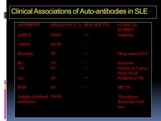 Clinical Associations of Auto-antibodies in SLE
  ANTIBODY        FREQUENCY % SPECIFICITY   CLINICAL
                                            SUBSET
  dsDNA           50-60       ++            Nephritis

  ssDNA           60-70       -

  Histones        70          +             Drug-induced LE

  Ro              30          +             Subactue
   La             15          +             cutaneous Lupus,
                                            Heart block
  Sm              30          ++            Nephritis,CNS

  RNP             10          +             MCTD

  Antiphospholipid 30-40                    Thrombosis
  antibodies                                Recurrent fetal
                                            loss
 