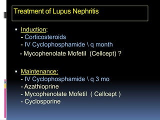 Treatment of Lupus Nephritis

 Induction:
  - Corticosteroids
  - IV Cyclophosphamide  q month
  - Mycophenolate Mofetil (Cellcept) ?

 Maintenance:
  - IV Cyclophosphamide  q 3 mo
  - Azathioprine
  - Mycophenolate Mofetil ( Cellcept )
  - Cyclosporine
 