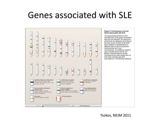 Genes associated with SLE
Tsokos, NEJM 2011
 