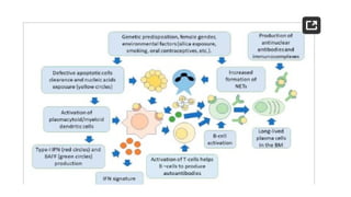 Comprehensive Overview of Systemic Lupus Erythematosus: Pathophysiology ...