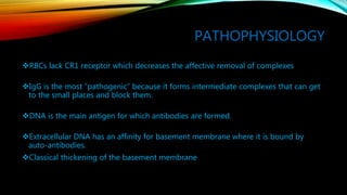 PATHOPHYSIOLOGY
RBCs lack CR1 receptor which decreases the affective removal of complexes
IgG is the most “pathogenic” because it forms intermediate complexes that can get
to the small places and block them.
DNA is the main antigen for which antibodies are formed.
Extracellular DNA has an affinity for basement membrane where it is bound by
auto-antibodies.
Classical thickening of the basement membrane
 