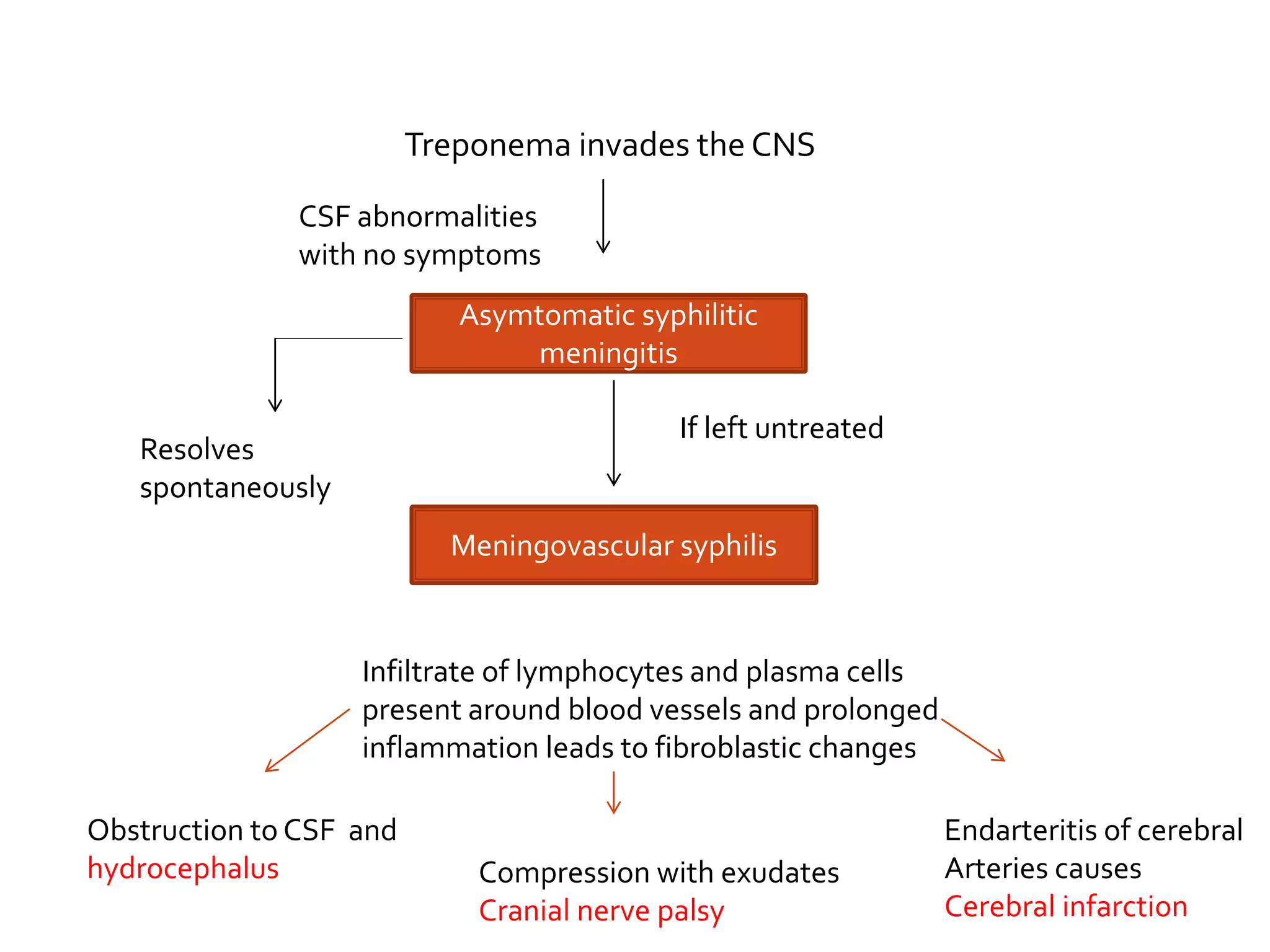 Treponema invades the CNS
Asymtomatic syphilitic
meningitis
CSF abnormalities
with no symptoms
Resolves
spontaneously
Meningovascular syphilis
If left untreated
Infiltrate of lymphocytes and plasma cells
present around blood vessels and prolonged
inflammation leads to fibroblastic changes
Obstruction to CSF and
hydrocephalus Compression with exudates
Cranial nerve palsy
Endarteritis of cerebral
Arteries causes
Cerebral infarction
 