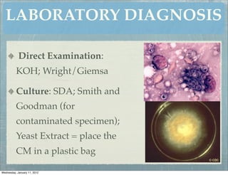 LABORATORY DIAGNOSIS

            Direct Examination:
          KOH; Wright/Giemsa

          Culture: SDA; Smith and
          Goodman (for
          contaminated specimen);
          Yeast Extract = place the
          CM in a plastic bag

Wednesday, January 11, 2012
 