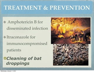TREATMENT & PREVENTION

            Amphotericin B for
          disseminated infection

          Itraconazole for
          immunocompromised
          patients
     Cleaning   of bat
         droppings
Wednesday, January 11, 2012
 