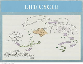 LIFE CYCLE




Wednesday, January 11, 2012
 
