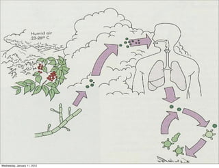 Wednesday, January 11, 2012
 