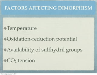 FACTORS AFFECTING DIMORPHISM



          Temperature

          Oxidation-reduction potential

          Availability of sulfhydril groups

          CO2 tension

Wednesday, January 11, 2012
 