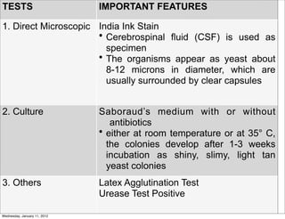 TESTS                         IMPORTANT FEATURES

1. Direct Microscopic India Ink Stain
                      • Cerebrospinal fluid (CSF) is used as
                        specimen
                      • The organisms appear as yeast about
                        8-12 microns in diameter, which are
                        usually surrounded by clear capsules


2. Culture                    Saboraud’s medium with or without
                                 antibiotics
                              • either at room temperature or at 35° C,
                                the colonies develop after 1-3 weeks
                                incubation as shiny, slimy, light tan
                                yeast colonies
3. Others                     Latex Agglutination Test
                              Urease Test Positive
                                Dr. Supachai Basit

Wednesday, January 11, 2012
 