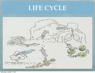 LIFE CYCLE




Wednesday, January 11, 2012
 