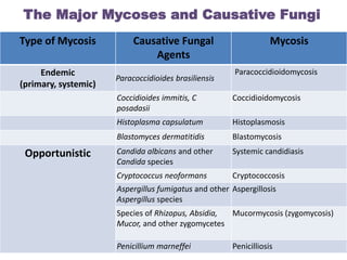 The Major Mycoses and Causative Fungi
Type of Mycosis            Causative Fungal                       Mycosis
                               Agents
     Endemic                                           Paracoccidioidomycosis
                      Paracoccidioides brasiliensis
(primary, systemic)
                      Coccidioides immitis, C         Coccidioidomycosis
                      posadasii
                      Histoplasma capsulatum          Histoplasmosis
                      Blastomyces dermatitidis        Blastomycosis
 Opportunistic        Candida albicans and other      Systemic candidiasis
                      Candida species
                      Cryptococcus neoformans         Cryptococcosis
                      Aspergillus fumigatus and other Aspergillosis
                      Aspergillus species
                      Species of Rhizopus, Absidia, Mucormycosis (zygomycosis)
                      Mucor, and other zygomycetes

                      Penicillium marneffei           Penicilliosis
 