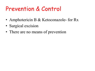 Prevention & Control
• Amphotericin B & Ketoconazole- for Rx
• Surgical excision
• There are no means of prevention
 