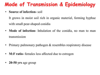 Mode of Transmission & Epidemiology
• Source of infection- soil
It grows in moist soil rich in organic material, forming hyphae
with small pear-shaped conidia
• Mode of infection- Inhalation of the conidia, no man to man
transmission
• Primary pulmonary pathogen & resembles respiratory disease
• M:F ratio- females less affected due to estrogen
• 20-50 yrs age group
 