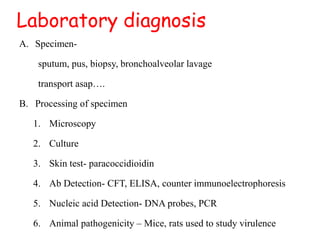 Laboratory diagnosis
A. Specimen-
sputum, pus, biopsy, bronchoalveolar lavage
transport asap….
B. Processing of specimen
1. Microscopy
2. Culture
3. Skin test- paracoccidioidin
4. Ab Detection- CFT, ELISA, counter immunoelectrophoresis
5. Nucleic acid Detection- DNA probes, PCR
6. Animal pathogenicity – Mice, rats used to study virulence
 