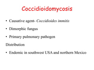Coccidioidomycosis
• Causative agent- Coccidioides immitis
• Dimorphic fungus
• Primary pulmonary pathogen
Distribution
• Endemic in southwest USA and northern Mexico
 
