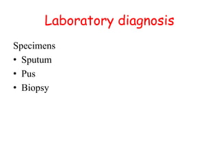 Laboratory diagnosis
Specimens
• Sputum
• Pus
• Biopsy
 