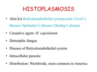 HISTOPLASMOSIS
• Also k/a Reticuloendothelial cytomycosis/ Caver’s
disease/ Spelunker’s disease/ Darling’s disease
• Causative agent- H. capsulatum
• Dimorphic fungus
• Disease of Reticuloendothelial system
• Intracellular parasite
• Distribution- Worldwide, most common in America
 
