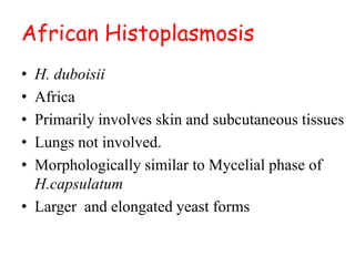 African Histoplasmosis
• H. duboisii
• Africa
• Primarily involves skin and subcutaneous tissues
• Lungs not involved.
• Morphologically similar to Mycelial phase of
H.capsulatum
• Larger and elongated yeast forms
 