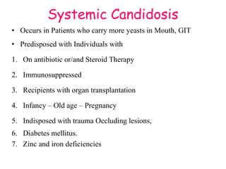 Systemic Candidosis
• Occurs in Patients who carry more yeasts in Mouth, GIT
• Predisposed with Individuals with
1. On antibiotic or/and Steroid Therapy
2. Immunosuppressed
3. Recipients with organ transplantation
4. Infancy – Old age – Pregnancy
5. Indisposed with trauma Occluding lesions,
6. Diabetes mellitus.
7. Zinc and iron deficiencies
 