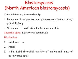 Blastomycosis
(North American blastomycosis)
Chronic infection, characterized by
• Formation of suppurative and granulomatous lesions in any
part of the body
• With a marked predilection for the lungs and skin
Causative agent: Blastomyces dermatitidis
Distribution:
1. North America
2. Africa
3. India- Delhi (bronchial aspirates of patient and lungs of
insectivorous bats)
 