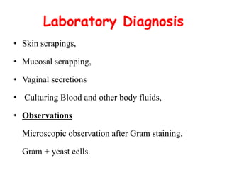 Laboratory Diagnosis
• Skin scrapings,
• Mucosal scrapping,
• Vaginal secretions
• Culturing Blood and other body fluids,
• Observations
Microscopic observation after Gram staining.
Gram + yeast cells.
 