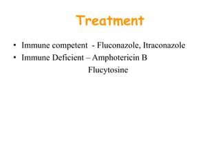 Treatment
• Immune competent - Fluconazole, Itraconazole
• Immune Deficient – Amphotericin B
Flucytosine
 