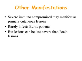 Other Manifestations
• Severe immuno compromised may manifest as
primary cutaneous lesions
• Rarely infects Burns patients
• But lesions can be less severe than Brain
lesions
 