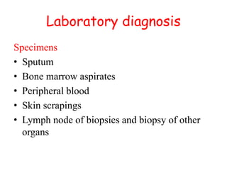 Laboratory diagnosis
Specimens
• Sputum
• Bone marrow aspirates
• Peripheral blood
• Skin scrapings
• Lymph node of biopsies and biopsy of other
organs
 