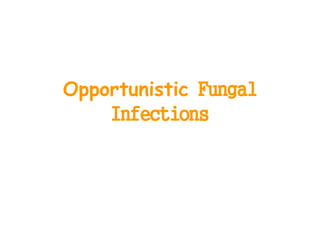 Opportunistic Fungal
Infections
 