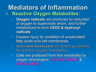 Mediators of Inflammation Reactive Oxygen Metabolites: Oxygen radicals  are produced by reduction of oxygen to superoxide anion, and further metabolized to form  H2O2 & hydroxyl radicals Causes injury by oxidation of unsaturated fatty acids w/in cell membranes. Activated leukocytes  are potent generators for reactive oxygen metabolites. Cells are protected from this metabolite by oxygen scavengers:  GLUTATHIONE  &  CATALASES. 