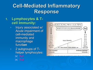 Cell-Mediated Inflammatory Response Lymphocytes & T-cell Immunity: Injury associated w/ Acute impairment of cell-mediated immunity and macrophage funct ion 2 subgroups of T-helper lymphocytes: T H 1   T H 2 