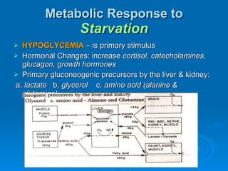 Metabolic Response to  Starvation HYPOGLYCEMIA  – is primary stimulus Hormonal Changes: increase  cortisol, catecholamines, glucagon, growth hormones Primary gluconeogenic precursors by the liver & kidney: a.  lactate   b.  glycerol  c.  amino acid (alanine & glutamine) 