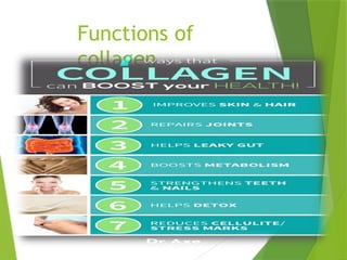 Functions of
collagen
 