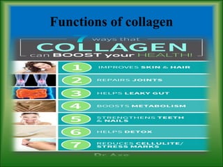 Functions of collagen
 