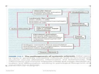 10/23/2017 Dr Doha Rasheedy
 