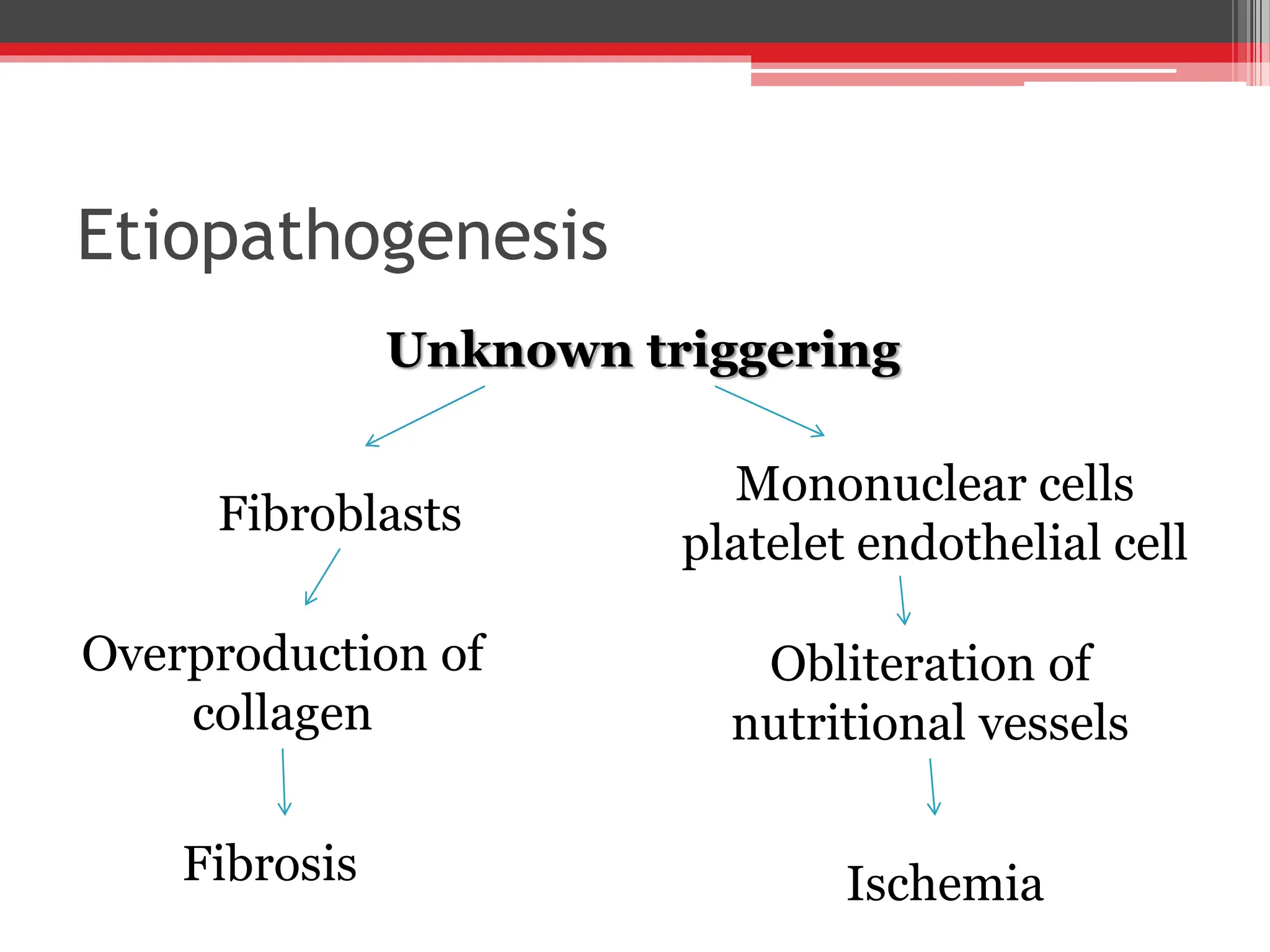 Etiopathogenesis
Unknown triggering
Fibroblasts
Mononuclear cells
platelet endothelial cell
Overproduction of
collagen
Fibrosis
Obliteration of
nutritional vessels
Ischemia
 